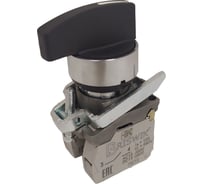 Переключатель Briswik КПЕ 4620 -ДС черный 2но+0нз Ручка удл 3-поз IP65 AD-RH-5Ai-0122