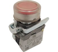 Выключатель Briswik КМЕ 4211м -ЛС 24В красный 1но+1нз Цилиндр IP65 с индикацией aD-EB-3Ai-3221
