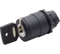 Головка для переключателя Briswik КПЕ 46К IP65 22 мм 3 позиции с ключем с возвратом ZB5EG5.BR