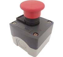 Пульт Briswik ПКУ21Е-111-65 УХЛ2 КМЕ5601кр, табл, без сальников XALD164.BR