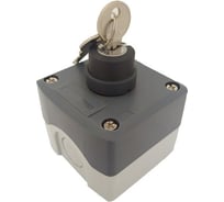 Пульт Briswik ПКУ21Е-111-65 УХЛ2 КПЕ4610К, табл, без сальников XALD142.BR