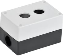 Корпус IEK КП102-Р для кнопок 2 места белый BKP10-2-K01-R