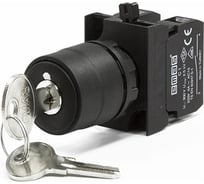 Кнопка с ключом Emas 0-1, с фиксацией, ключ выним. во всех полож. 2НО CP CP101AC20