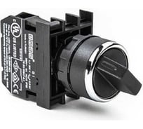 Переключатель Emas 2-0-1, с фиксацией, 1НО, серия B, 250 В AC, 4 А B100S30