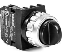 Переключатель Emas 0-1 с фиксацией 1НО серии H, установочный 30 мм H100S20