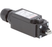 Концевой выключатель DKC с двумя контактами, нормально открытый нормально закрытый NO NC, с роликом R5MC103