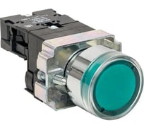 Кнопка APEX BA31 с подстветкой, зеленая, NO, IP65 230В AC SC21817