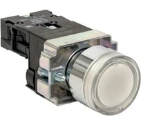 Кнопка APEX BA21 с подстветкой, белая, NO, 24В AC SC21811