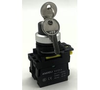 Переключатель ANDELI LA115-A5-A5-10Y/21 1НО с ключом 2 положения ADL10-299