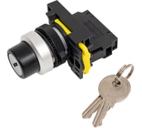 Переключатель ANDELI LA115-A5-A5-10Y/21 1НО с ключом 2 положения ADL10-299
