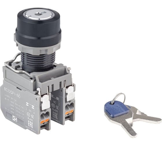 Переключатель с ключом Инпром Инновации K22L-MB2 NO+NC s10040