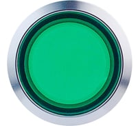 Кнопка Инпром Инновации BN22QP1-M/G NO+LED с подсветкой 230В, зеленая bn10043