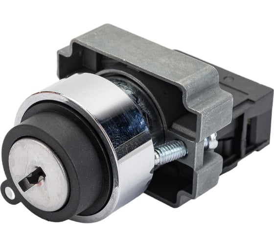 Переключатель ANDELI XB2-BG21 черный, 2 положения, с ключом, 1НО ADL10-004