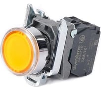 Кнопка Systeme Electric SB4BW35M5