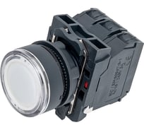 Кнопка Systeme Electric SB5AW31B5