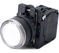 Кнопка Systeme Electric SB5AW31M1