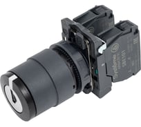 Переключатель Systeme Electric SB5 в сборе, модульный, 22мм, 3-х поз, с возвр., извл. ключа по центру SB5AG53