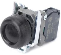 Кнопка Systeme Electric SB4BP21