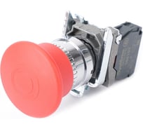 Кнопка Systeme Electric SB4BT842