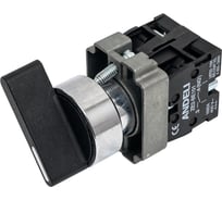 Переключатель ANDELI XB2-BJ25 черный 2 положения I-0 длинная ручка 1НЗ+1НО ADL10-009