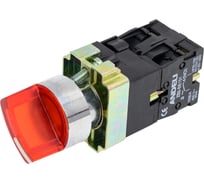 Переключатель ANDELI XB2-BK2465 2 положения красный с подсветкой 1НЗ+1НО ADL10-012