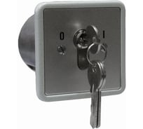 Переключатель Smartec ST-ES120 с ключом Keyswitch, врезной smkd0205