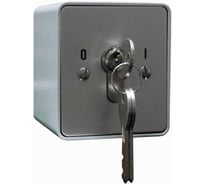 Переключатель Smartec ST-ES120SM с ключом Keyswitch, накладной smkd0204