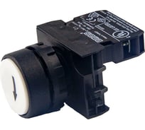 Нажимная кнопка Emas белая, вертикальная стрелка CP CP100DBOD