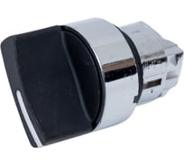 Головка переключателя Briswik 22мм 2 поз возврат металл КПЕ 31РС IP40 LAY4-BD4.BR