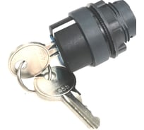 Головка переключателя Briswik 22мм 2 поз ключ возврат КПЕ 31К IP40 LAY4-EG4.BR