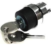 Головка переключателя Briswik 22мм 2 поз ключ фиксация металл КПЕ 11КС IP40 LAY4-BG2.BR