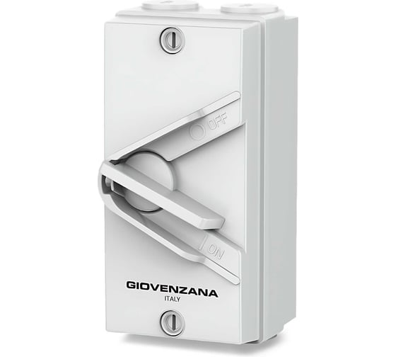 Переключатель Giovenzana 63А, 2P, ON/OFF, IP66 GTF2-263 1