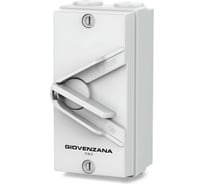 Переключатель Giovenzana 20А, 4P, ON/OFF, IP66 GTF2-420