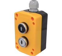 пост управления Электротехник ПКУ22-2221-65У1 1 белый цилиндр _ (НО) 1 чёрный цилиндр _ (НО) IP65 ET014872