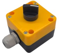 Пост кнопочный Briswik ПКУ21ЛП1-111-65 УХЛ2 КПЕ1611Р, с сальником PA1112.BR