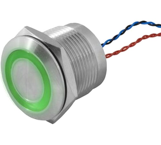 Кнопка пьезо RUICHI RPS19ZE/G on-off 114246