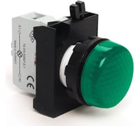 Сигнальная арматура с блоком подсветки EMAS CBG (зелёный светодиод, 110В AC/DC), зелёный цвет, серия CP, IP65 CP0G0XY