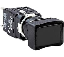 Кнопка Emas прямоугольная (1НО), чёрный цвет, серия D (250В AC, 1,5А), IP50 D100DDH