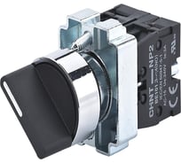 Переключатель CHINT NP2-BD53, 3 положения возвратом, 2НО, IP40 (R) (уп. 10 шт.) 573985