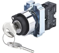 Переключатель CHINT NP2-BG21, 2 положения фиксацией, 1НО, IP40 (R) (уп. 10 шт.) 573986