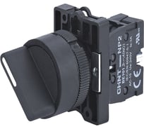 Переключатель CHINT NP2-ED21, 2 положения фиксацией, 1НО, IP40 (R) (уп. 10 шт.) 574095