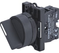 Переключатель CHINT NP2-ED41, 2 положения с возвратом, 1НО, IP40 (R) (уп. 10 шт.) 574096