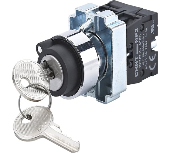 Переключатель CHINT NP2-BG24, 2 положения с фиксацией, 2НЗ, IP40 (R) (уп. 10 шт.) 575993