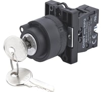 Переключатель CHINT NP2-EG21, 2 положения с фиксацией, 1НО, IP40 (R) (уп. 10 шт.) 574102