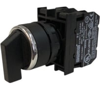 Переключатель Emas 2-0-1, с фиксацией, 1НО+1НЗ, серия B, 250В AC, 4 А B102S30