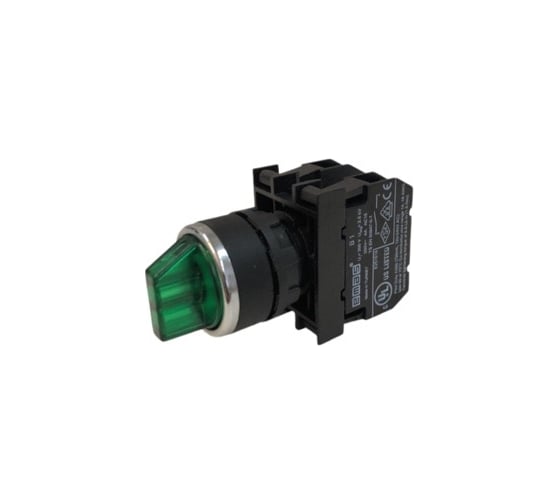 Переключатель Emas 2-0-1, с фиксацией, зелёный, 250В AC, 4 А B101SL30Y