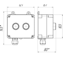 Пост управления кнопочный Магнито-Контакт ПКУ-2 фикс IP54 00-00032367