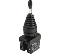 Кнопка-джойстик Emas 2-х позиционный, без фиксации CP 1НО+1НЗ CP102DJ21