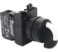Переключатель Emas 0-1, с фиксацией, 1НО+1НЗ, 250 В AC, 4 А CP102S20