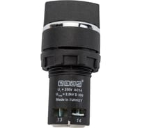 Моноблочный переключатель Emas 22 мм, IP 40, 1НО+1НО с фиксацией, MB101S20